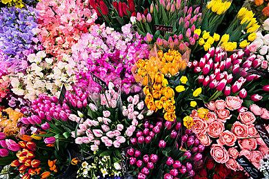 乙女游戏大厂Otomate公布制作计划 新旧游戏11部陆续推出